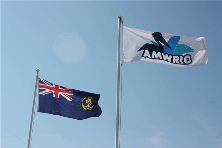 South Australian & AMWRRO Flags