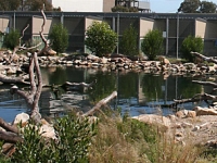 AMWRRO main pond