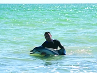 Dolphin rescue (Largs Bay)