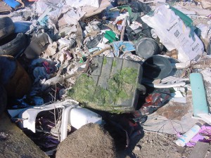 Rubbish removed from Torrens Island 