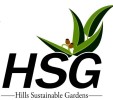 hsg-custom